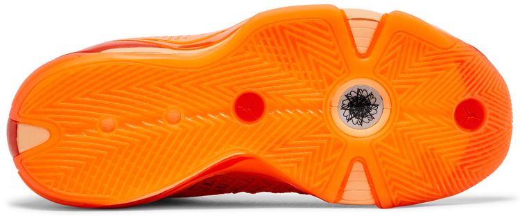 WNBA x Wmns Air Jordan 38 Center Star