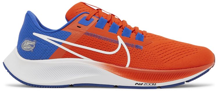 Nike Air Zoom Pegasus 38 Florida