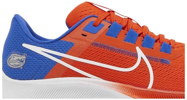 Nike Air Zoom Pegasus 38 Florida