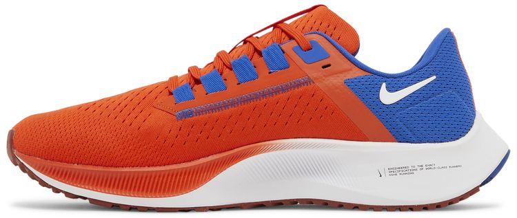 Nike Air Zoom Pegasus 38 Florida