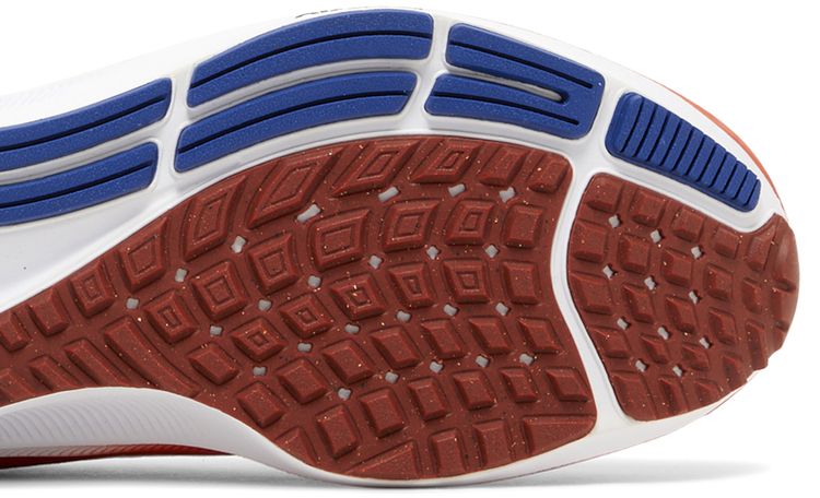 Nike Air Zoom Pegasus 38 Florida