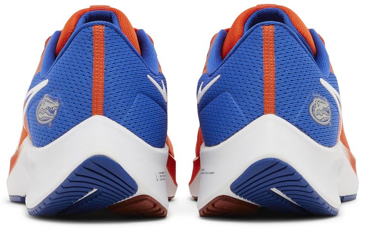 Nike Air Zoom Pegasus 38 Florida