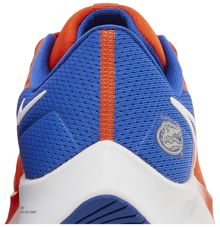 Nike Air Zoom Pegasus 38 Florida