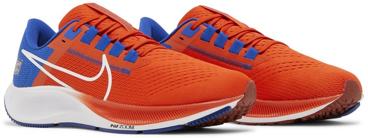 Nike Air Zoom Pegasus 38 Florida