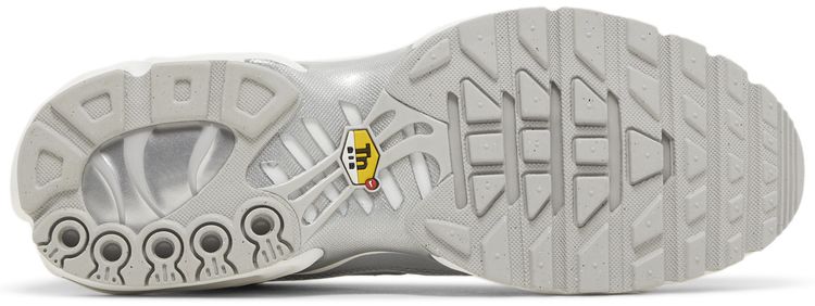Nike Air Max Plus Metallic Silver