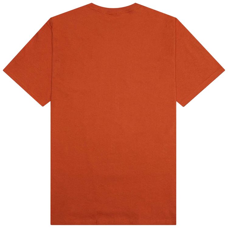 Pleasures Dont Care Tee Texas Orange