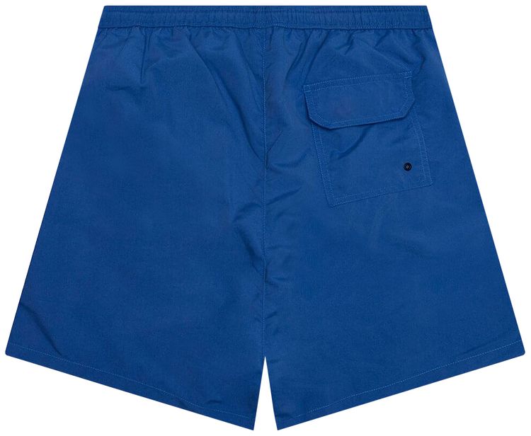 Heron Preston Nylon Swim Shorts Blue