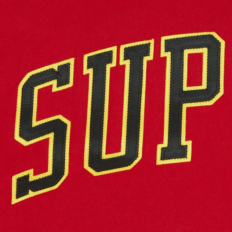 Supreme Sleeve Arc Hooded Sweatshirt Red