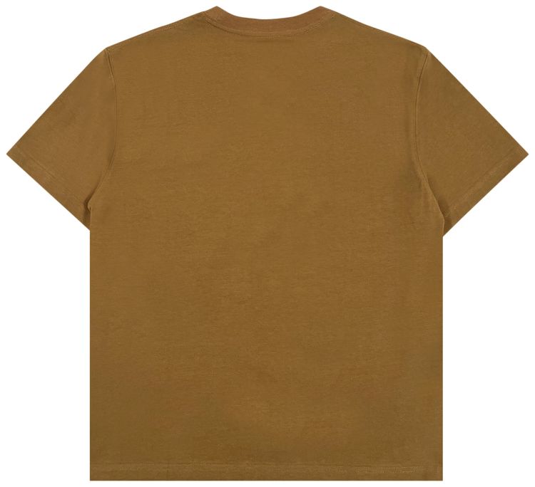 Pleasures Human Needs Heavyweight Tee Brown