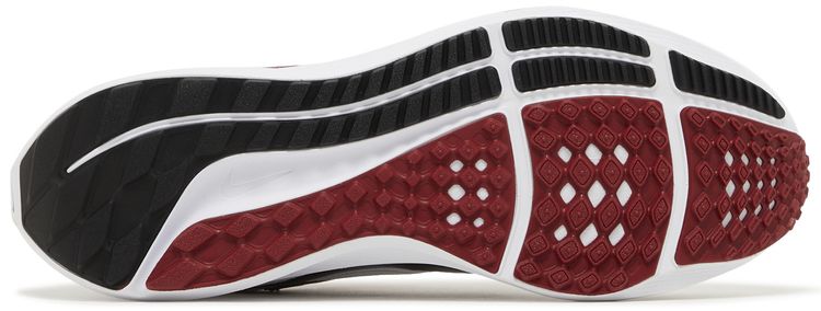 Nike Air Zoom Pegasus 40 Stanford