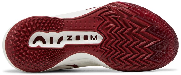 Nike Wmns Air Zoom GT Cut 2 Sisterhood