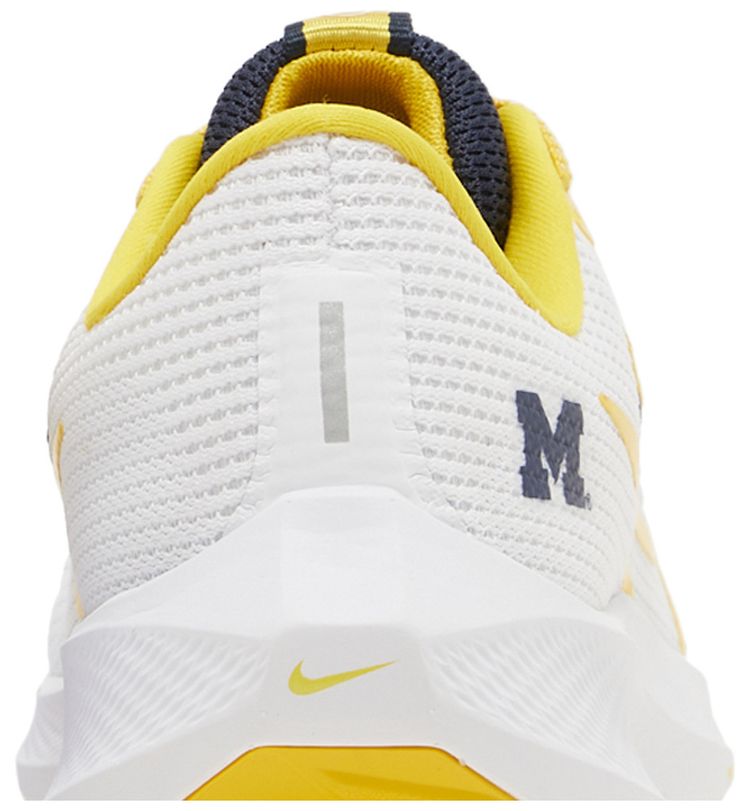 Nike Air Zoom Pegasus 40 Michigan