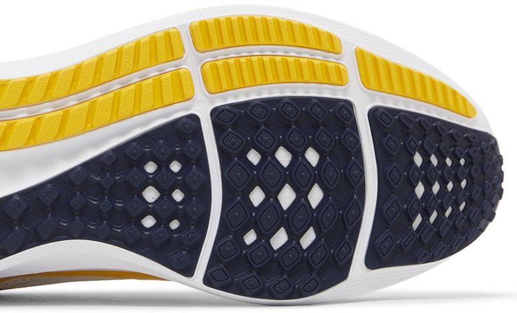 Nike Air Zoom Pegasus 40 Michigan