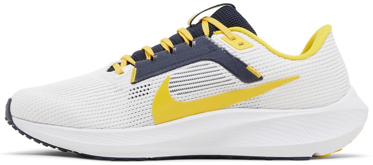 Nike Air Zoom Pegasus 40 Michigan