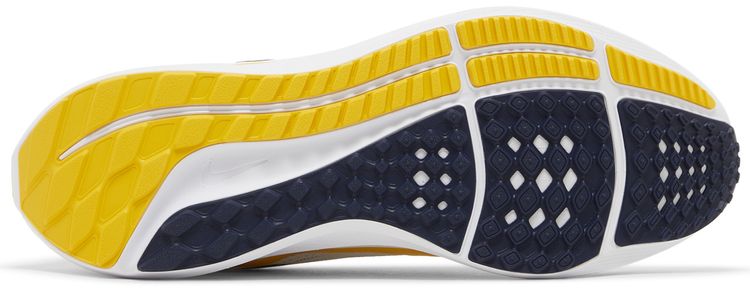 Nike Air Zoom Pegasus 40 Michigan