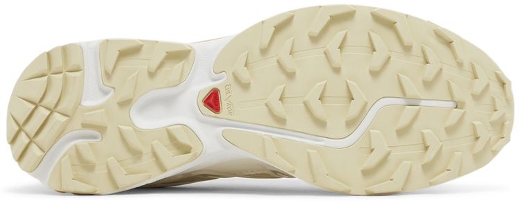Salomon XT 6 Expanse Cottage Core