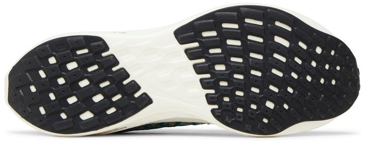Nike Pegasus Turbo Next Nature 5 Borough Tour