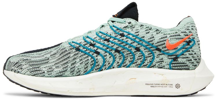 Nike Pegasus Turbo Next Nature 5 Borough Tour