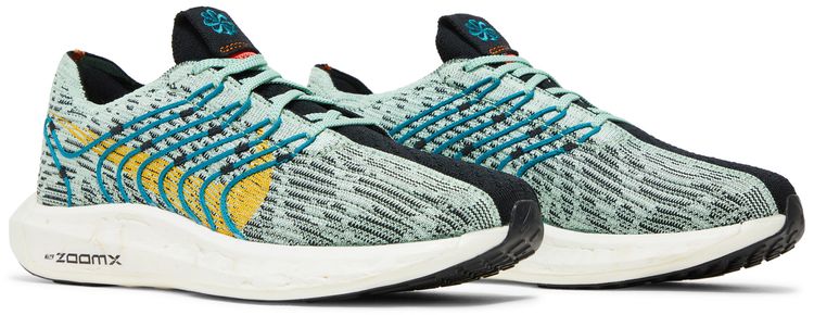 Nike Pegasus Turbo Next Nature 5 Borough Tour