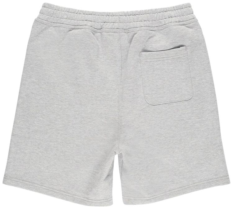Stussy Stock Logo Shorts Grey Heather
