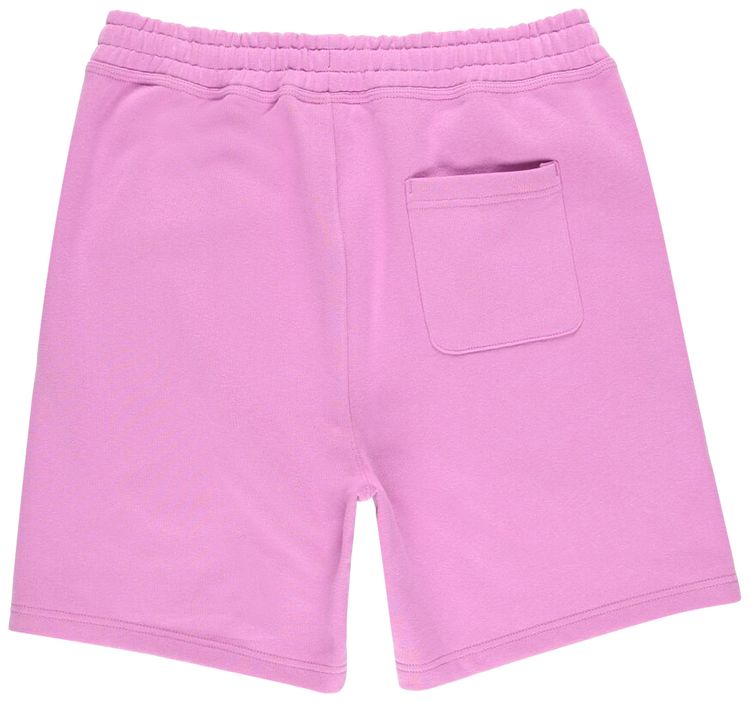 Stussy Stock Logo Shorts Violet