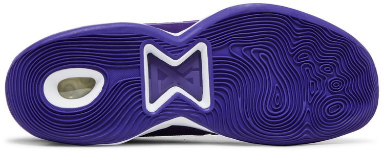 PG 5 TB Field Purple