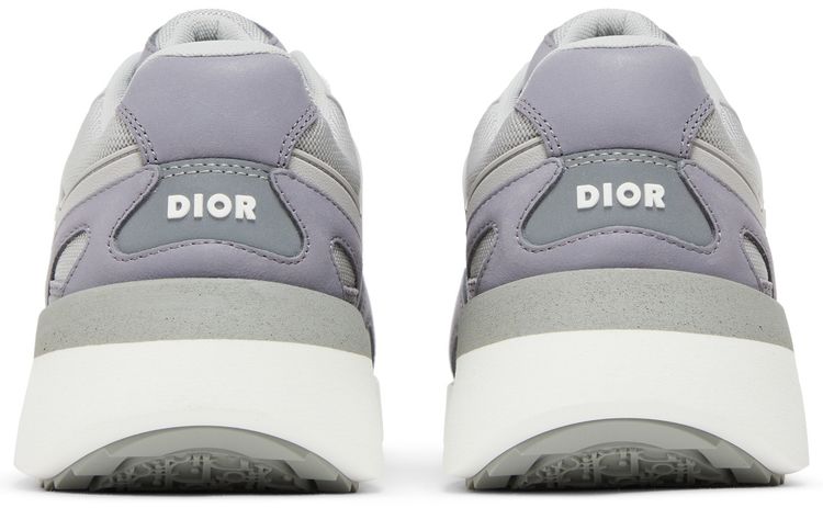 Dior B29 Grey