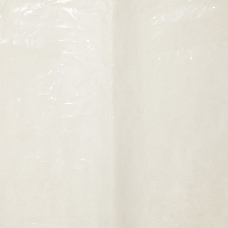 Comme des Garcons Homme Plus Tank Top Transparent