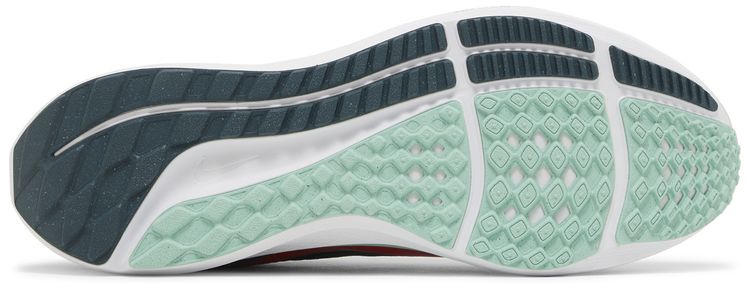 Nike Air Zoom Pegasus 40 Chicago Marathon