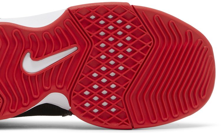 Nike FaZe Clan x LeBron Witness 8 Bred