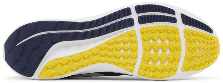 NFL x Nike Air Zoom Pegasus 39 Los Angeles Rams