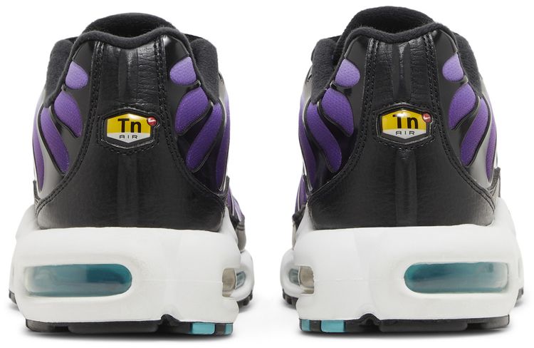 Nike Air Max Plus Reverse Grape