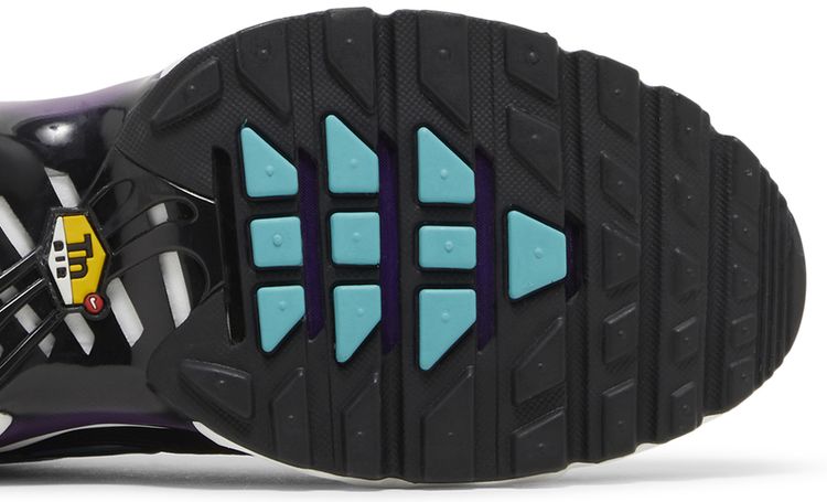 Nike Air Max Plus Reverse Grape