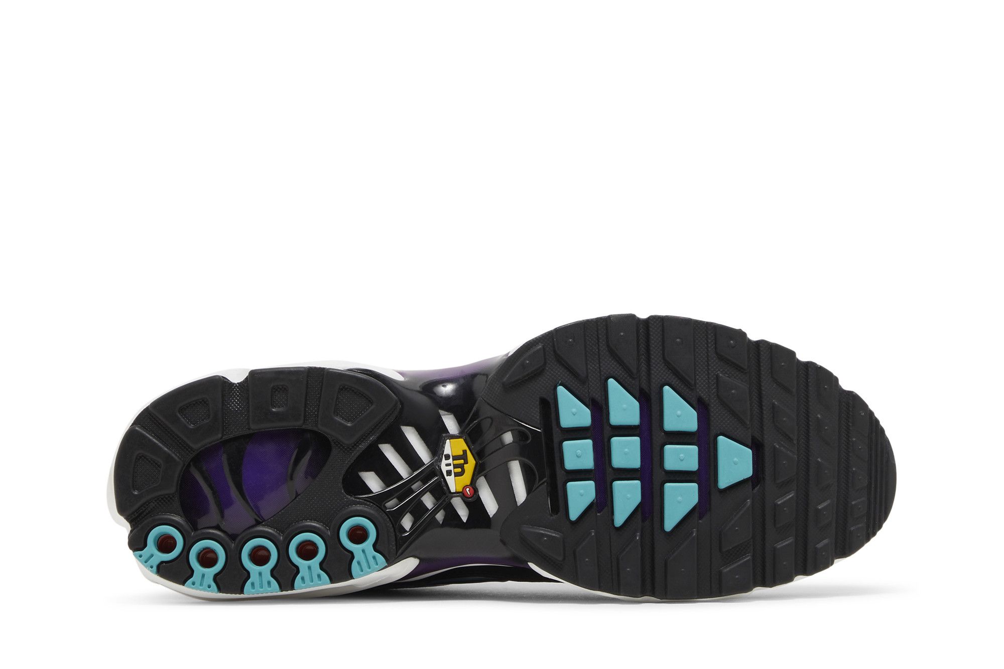 Size 10.0 Air Max Plus Reverse Grape