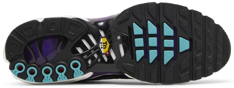 Nike Air Max Plus Reverse Grape