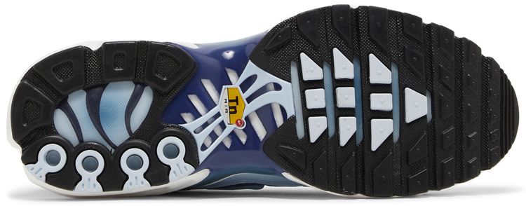 Nike Wmns Air Max Plus Celestine Blue