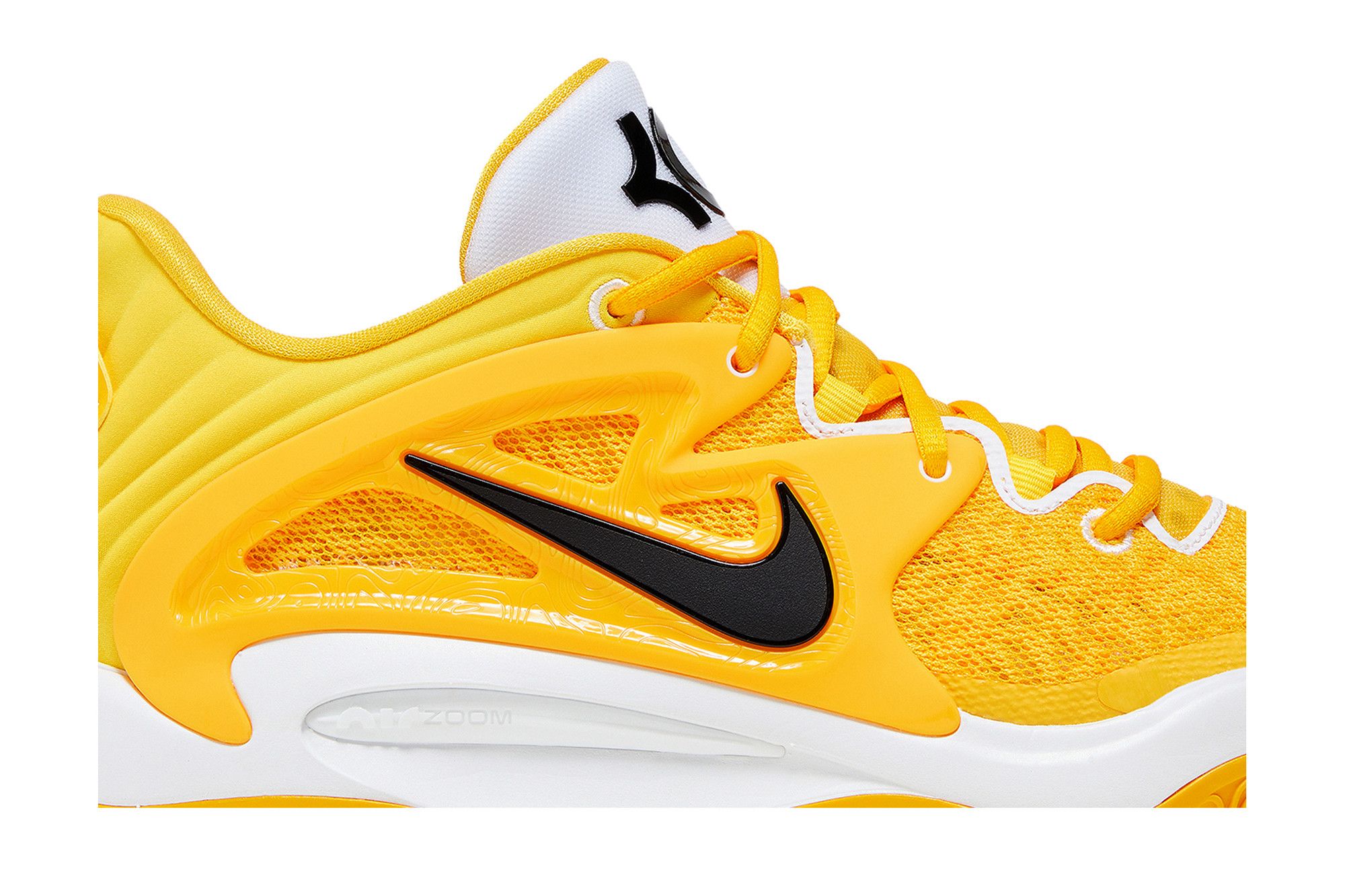 Kd 11 accadeva university gold