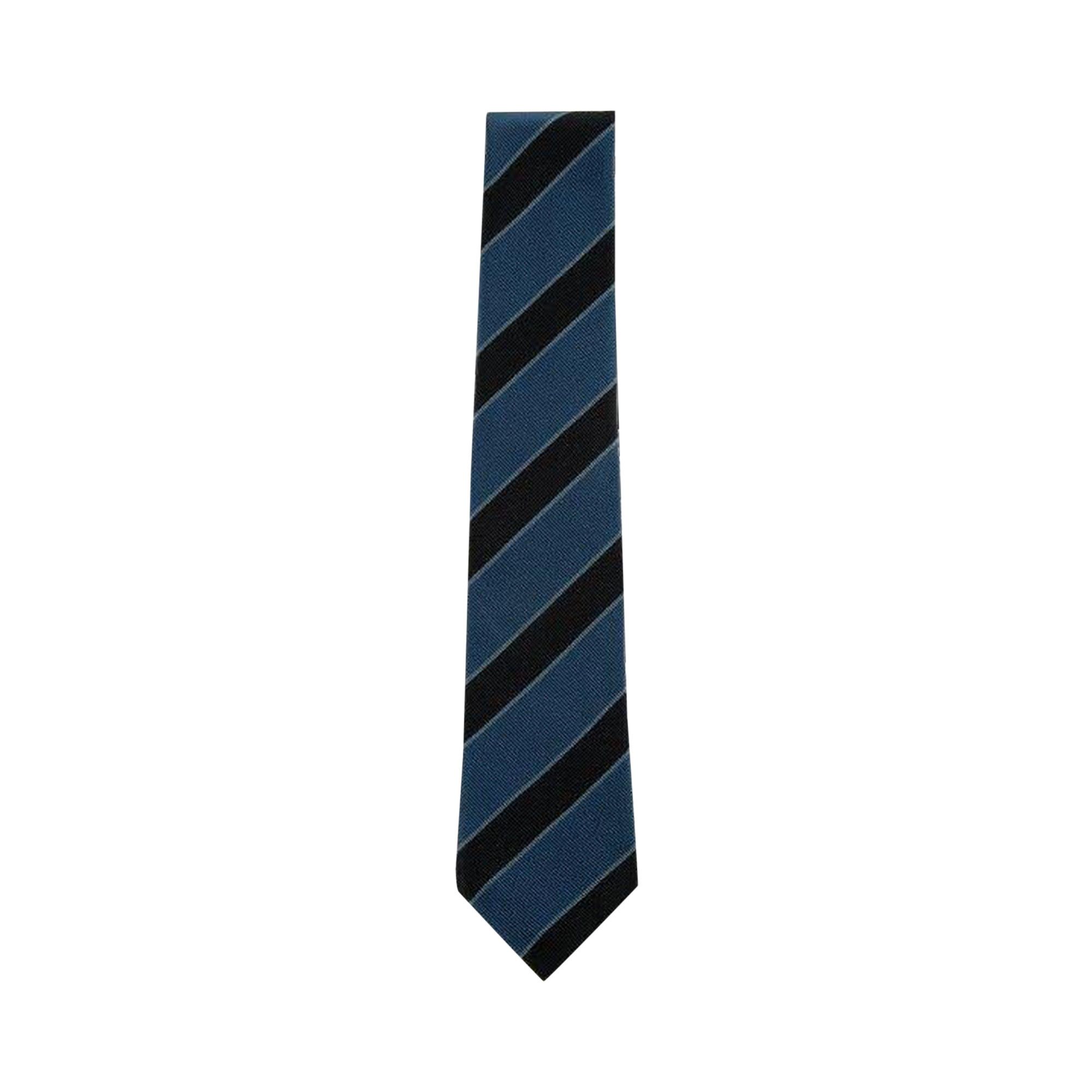 Buy Visvim Stripe Silk Tie 'Blue' - 123203003005 BLUE | GOAT