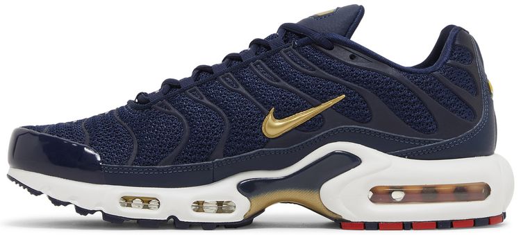 Nike Air Max Plus French Football Federation