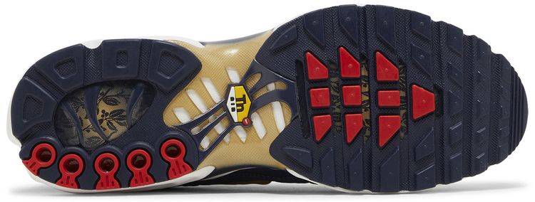 Nike Air Max Plus French Football Federation