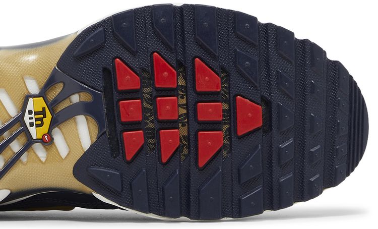 Nike Air Max Plus French Football Federation