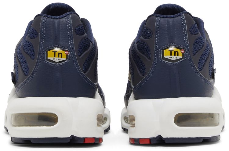 Nike Air Max Plus French Football Federation