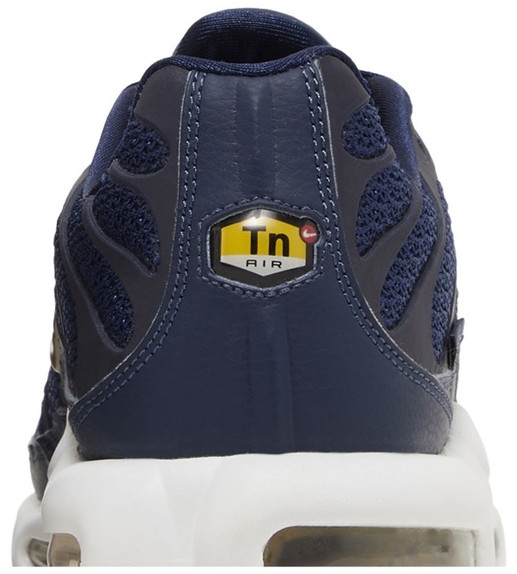 Nike Air Max Plus French Football Federation