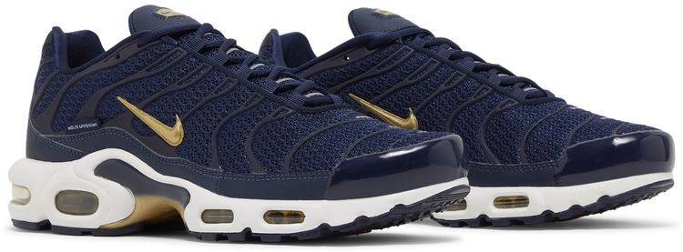 Nike Air Max Plus French Football Federation