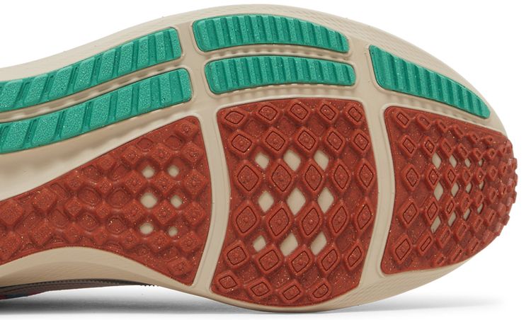 Nike Air Zoom Pegasus 40 Familia