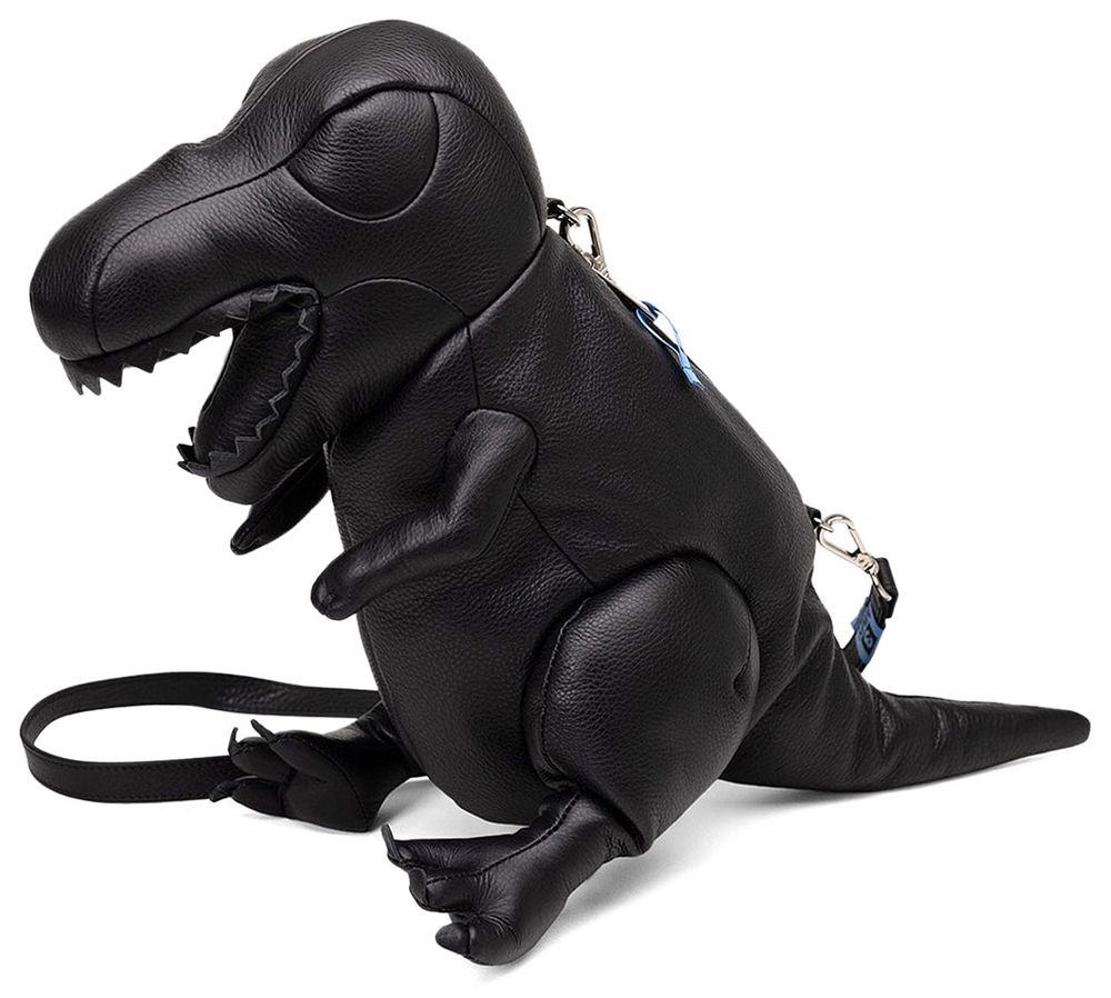 T-Rex Swim Bag main image 0