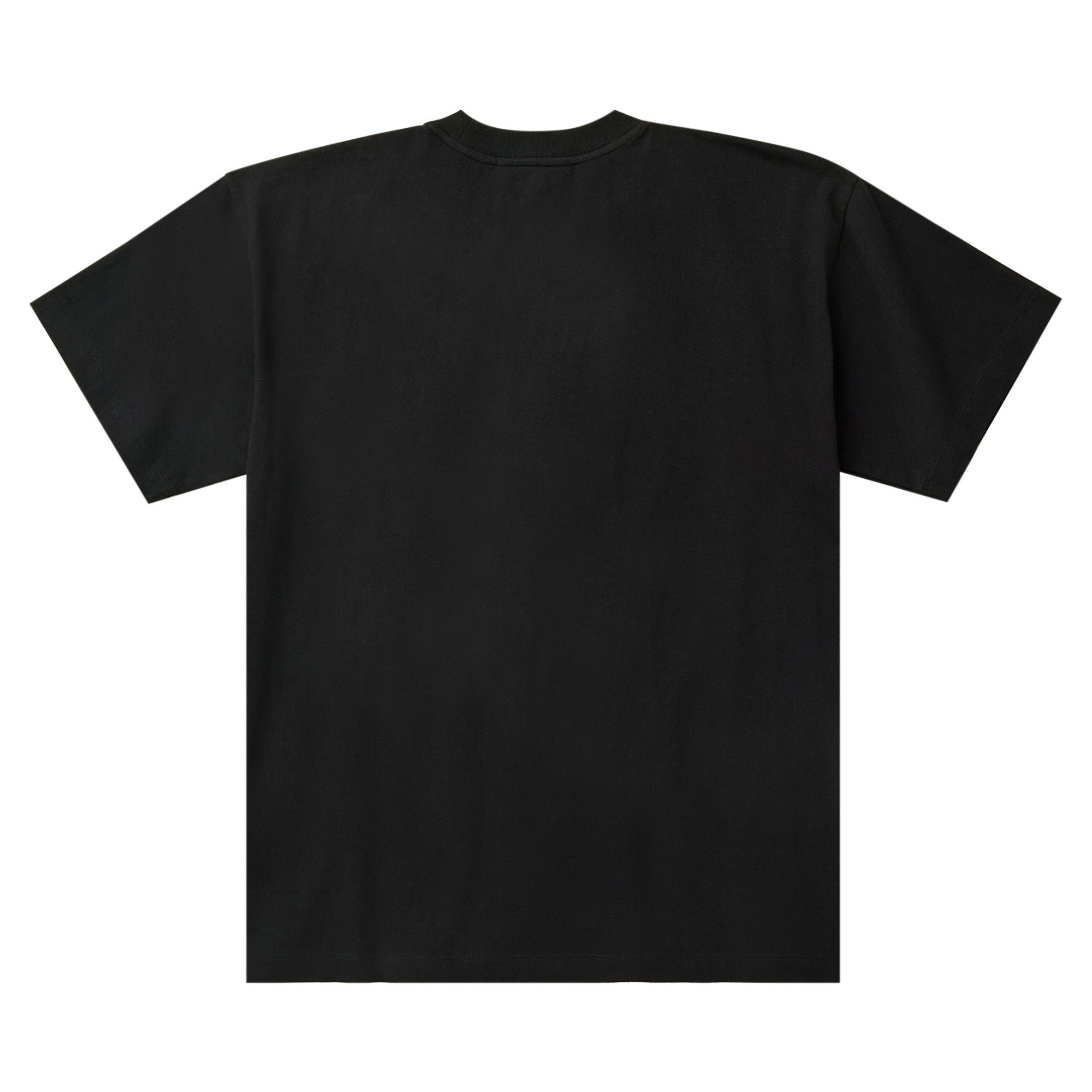 Buy The North Face x Online Ceramics Short-Sleeve Tee 'Black