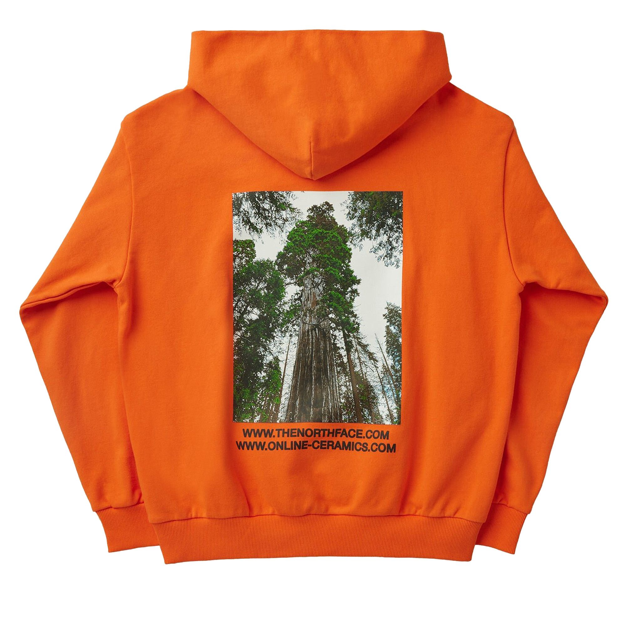 Buy The North Face x Online Ceramics Hoodie 'Red' - NF0A84RVA6M | GOAT