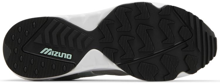 Hanon x Mizuno Contender Grampus Dolphin