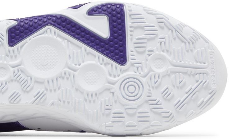 Nike PG 6 TB Promo Court Purple